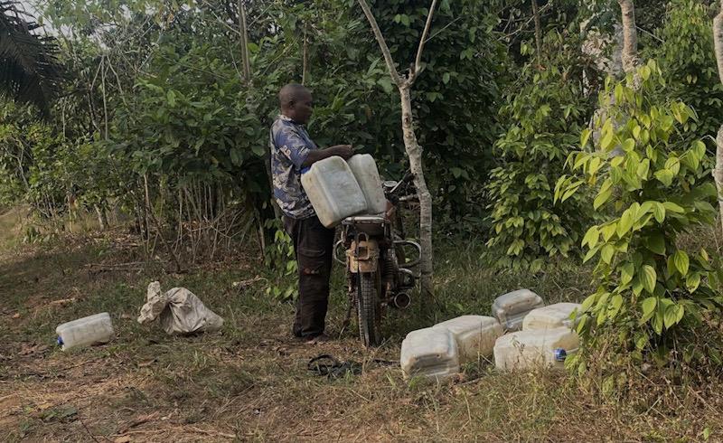 Dans le Moungo, des agriculteurs camerounais face aux changements climatiques