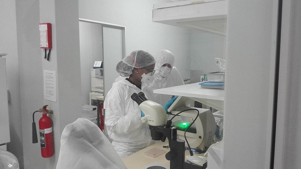 African women in science: the long road to research