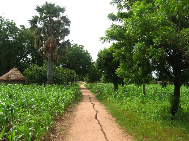 Cher.e.s lectrices et lecteurs d’Agripreneurs d’Afrique, si vous aimez notre travail, n’hésitez pas à nous soutenir