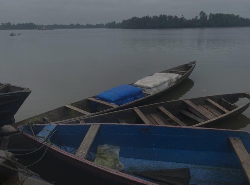 Dans le Littoral camerounais, la pêche avec les produits chimiques
