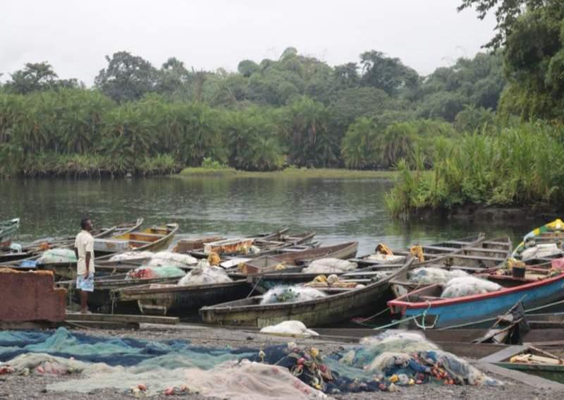 Cameroun: à Debundscha, la pêche nourrit, emploie et génère des revenus