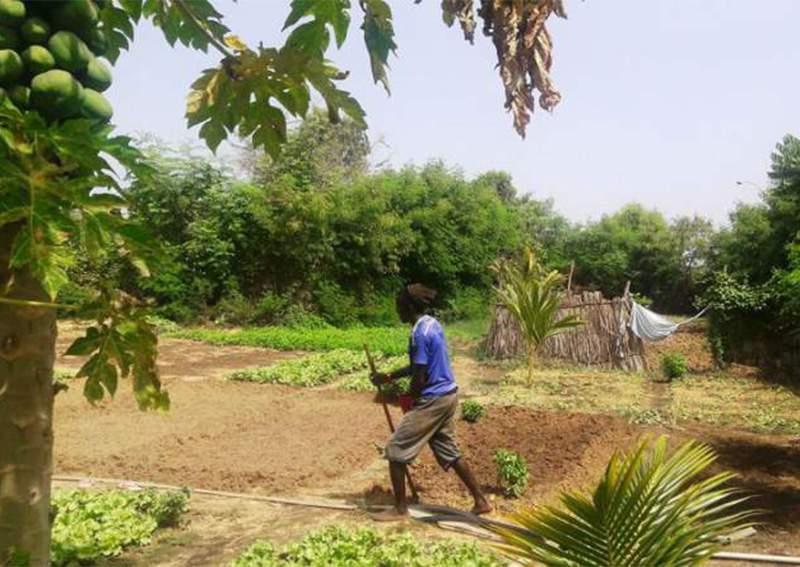 Il faut «révolutionner l’agro numérique pour une Afrique grenier du monde»