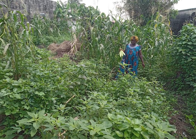 « Je cueille tout dans mon jardin » : avec les maraîchères bio de Douala