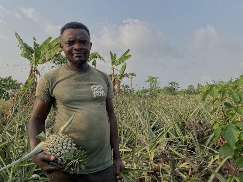 Cameroun: l’ananas en complément