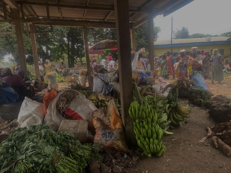 Marchandages au « premier marché de fruits et légumes du Cameroun »