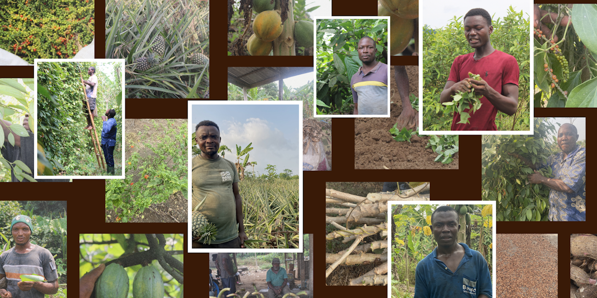 Série « Voix agricoles » : 16 épisodes