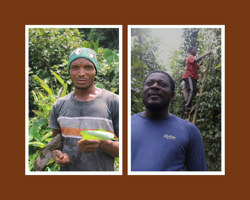 Destin croisé de deux jeunes agriculteurs camerounais jadis attirés par la ville