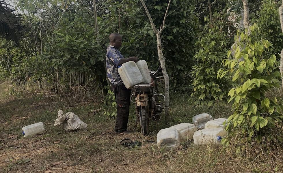 Dans le Moungo, des agriculteurs camerounais face aux changements climatiques