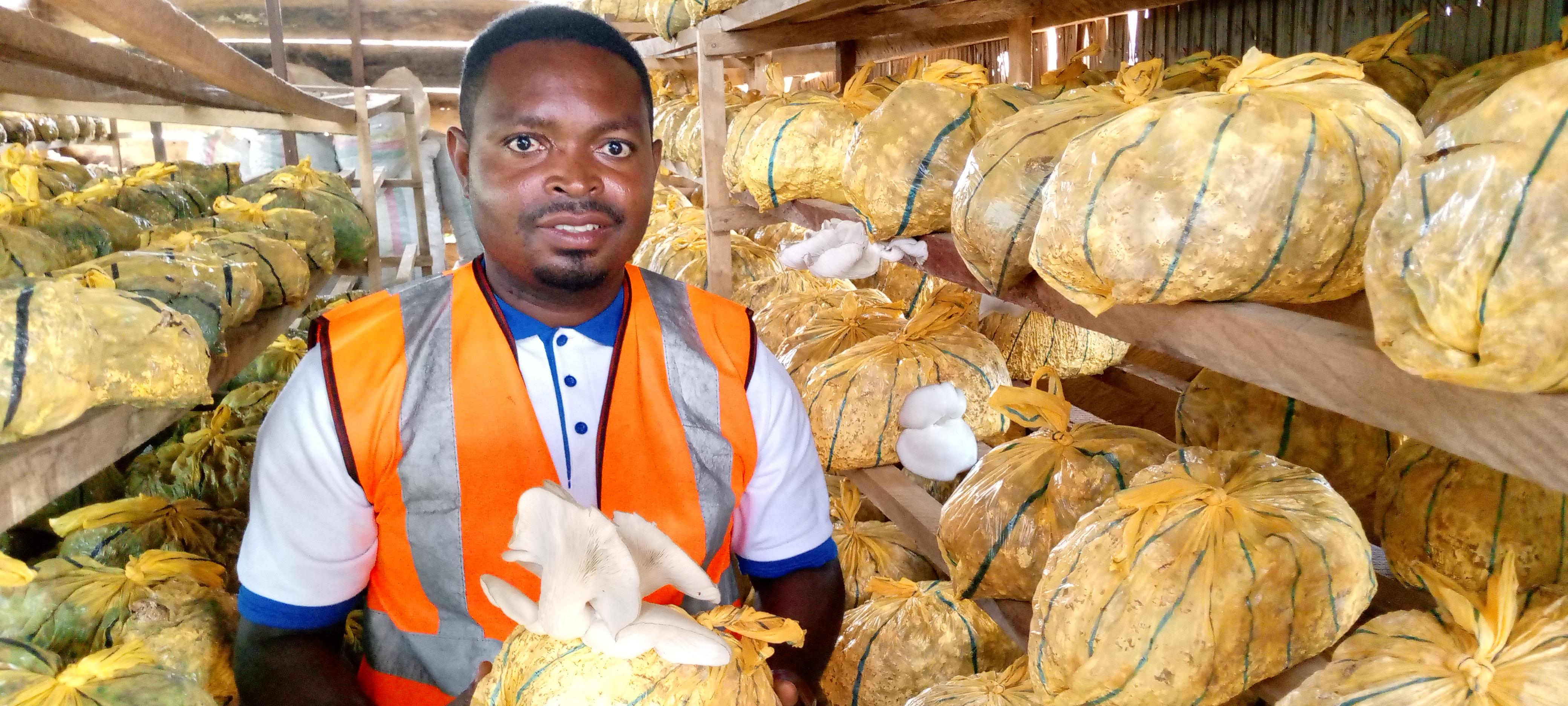 A l’Est du Cameroun, un technicien agricole vulgarise la culture des champignons