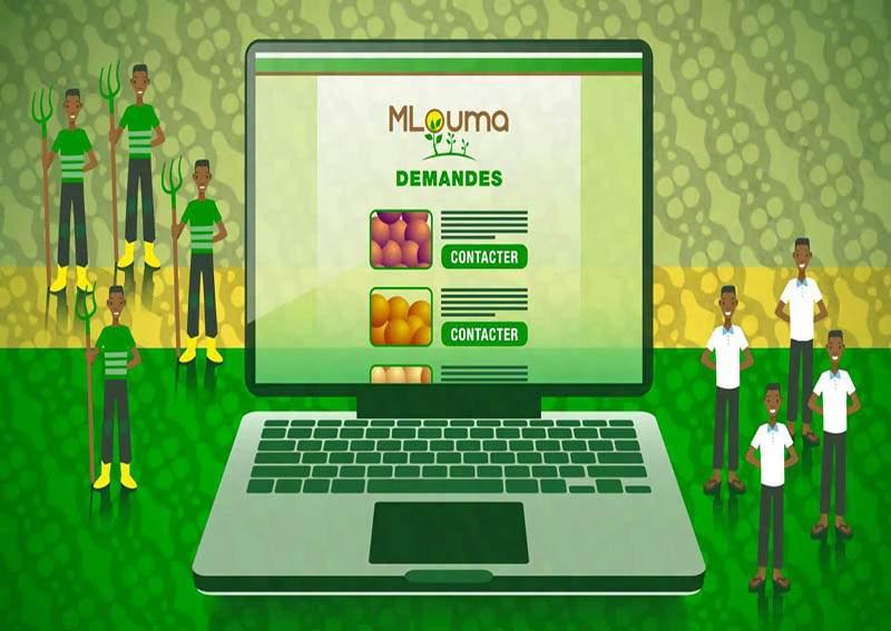 Mlouma, la plateforme qui ramène des clients aux agriculteurs
