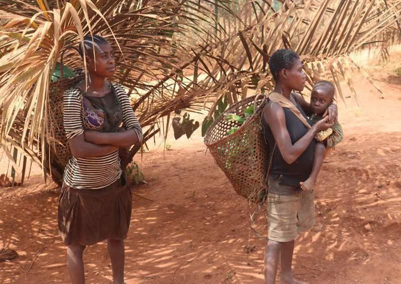 « On lui a donné des sachets de whisky et il a vendu nos arbres »