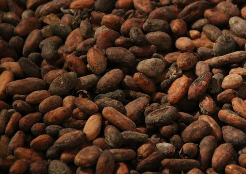 Cameroun: savons, gommages, laits de toilette faits à base de cacao