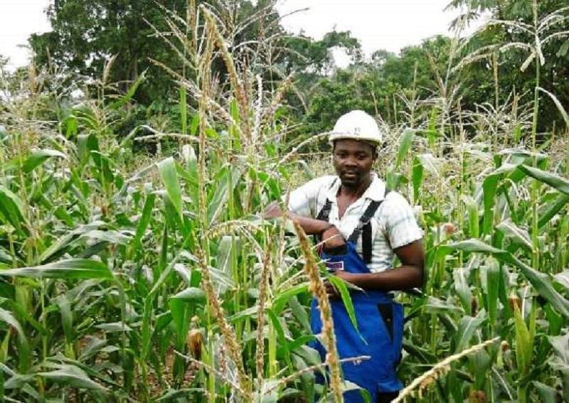 Le rap pour encourager les jeunes à se lancer dans l’agriculture