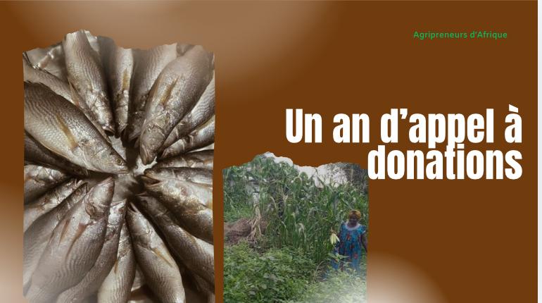 Un an d’appel à donations sur Agripreneurs d’Afrique
