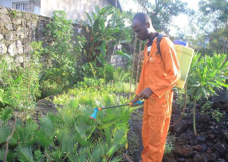 Agripreneurs d’Afrique a neuf ans