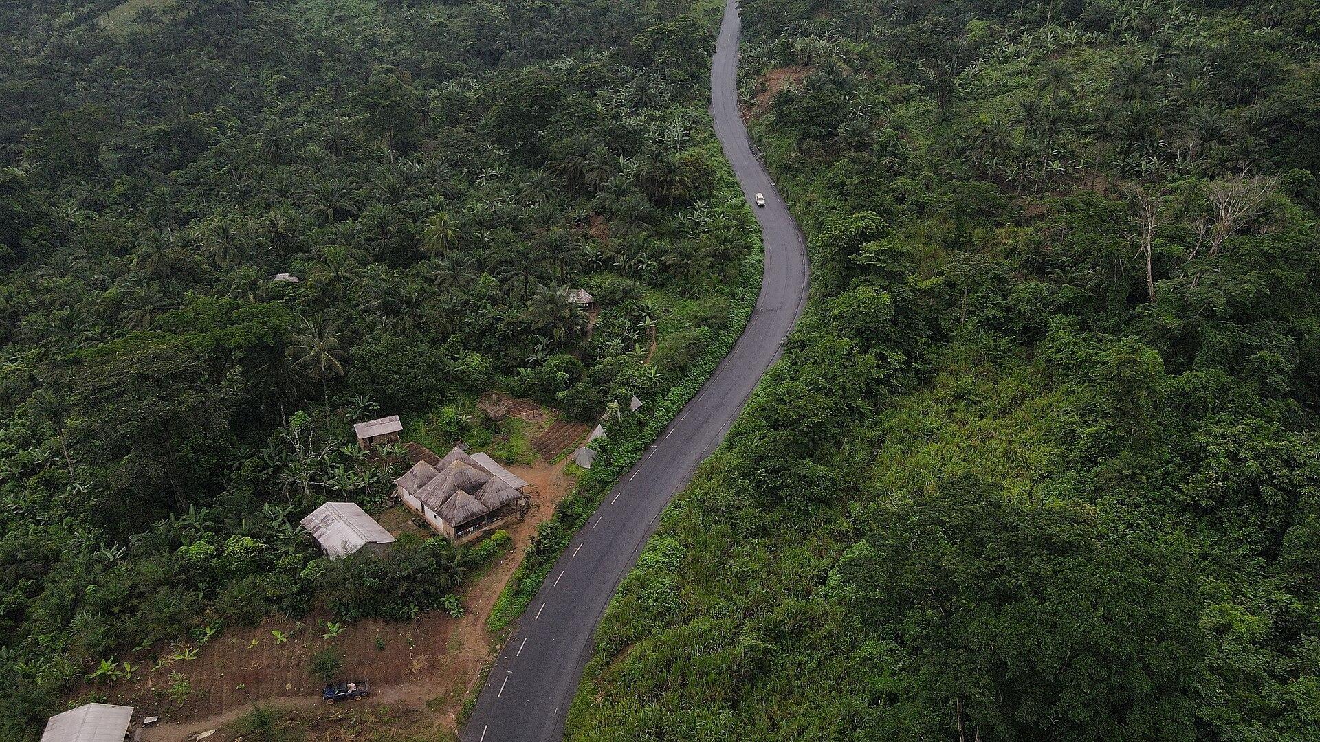 À l'ouest du Cameroun, les agriculteurs adoptent des murets de pierre et la méthode zaï pour lutter contre la dégradation des sols latéritiques