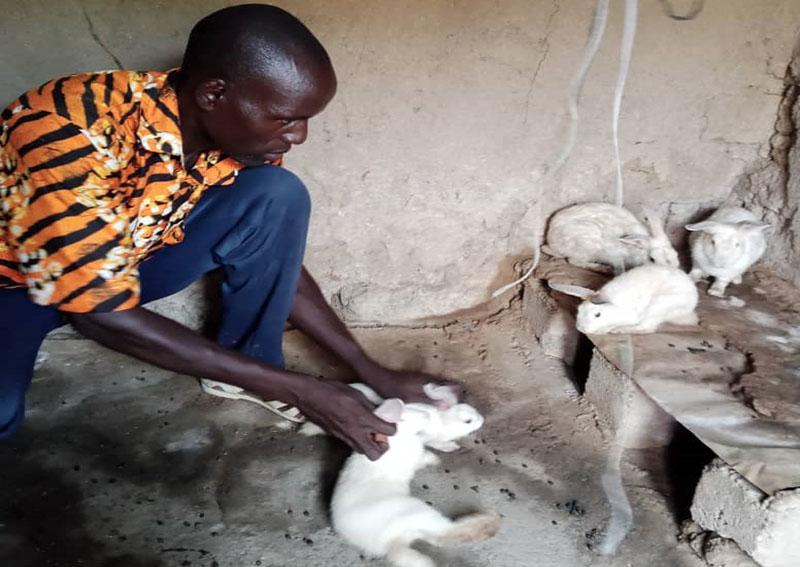 Au Cameroun, « je suis épanoui avec mes lapins »