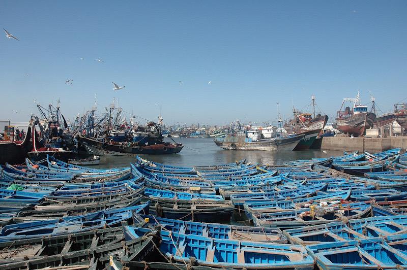 In Morocco, Prof. Nadia Raïssi uses mathematics to solve fisheries’ problems